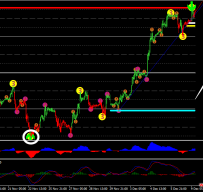 FX Levels With MACD外汇交易系统