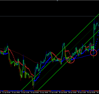 ForexPipTaker外汇交易系统