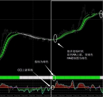 绿火外汇交易系统