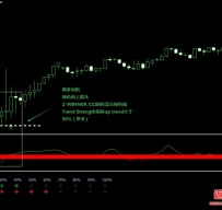 4H Trader Advanced外汇交易系统