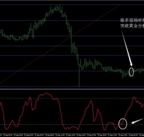 BOBOKUS黄金分割外汇交易系统