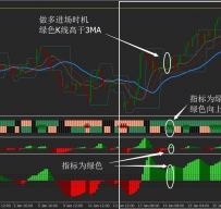 比尔威廉斯外汇交易系统II