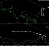 毒蛇外汇交易系统