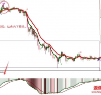 Sidus Bago with Sidus外汇交易系统