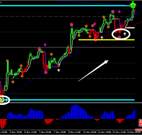 FX Levels With MACD外汇交易系统