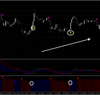 Gold MACD + Golden MACD外汇交易系统