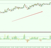 Gann with NPFX外汇交易系统