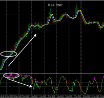 RSX RNP外汇交易系统