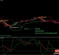 SEFC Bull and Bears外汇交易系统