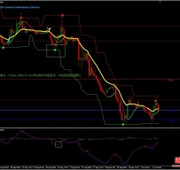 Signal Line Forex Reversal外汇交易系统