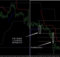 蝙蝠外汇交易系统