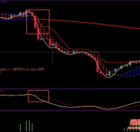 FX_4life外汇交易系统