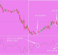 简单强大外汇交易系统