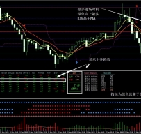 水平止损和反转外汇交易系统汉化版