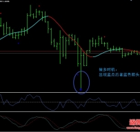 Heiken Ashi RSI Trend外汇交易系统