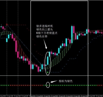 MACD和ZIGZAG组合外汇交易系统汉化版