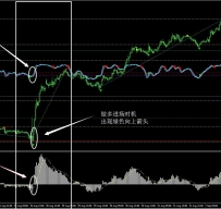 Tiong7外汇交易系统