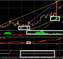 ForexSignal30PLUS外汇交易系统